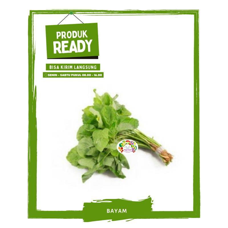 

Bayam / Sayur Sayuran Segar Ready On Mallahrizwa