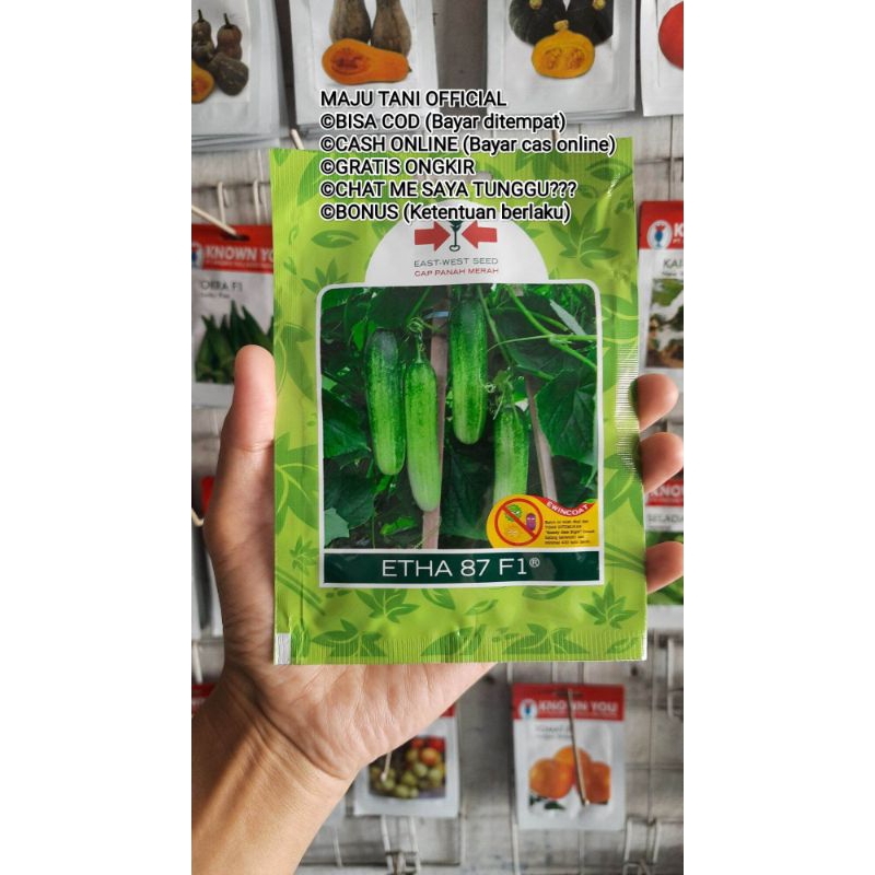 

Benih Timun Etha 87 F1 Isi 800 Butir Kadaluarsa. 2025 (Terbaru Berkwalitas)/Termurah Seindonesia/Perawatan Mudah/Tahan Virus (Gemini Kuning Puret Kriting daun Layu Fusarium)/Buah lebat hijau keputihan/Disukai pasar/Tahan Simpan /Produksi Tinggi/100 % Ori