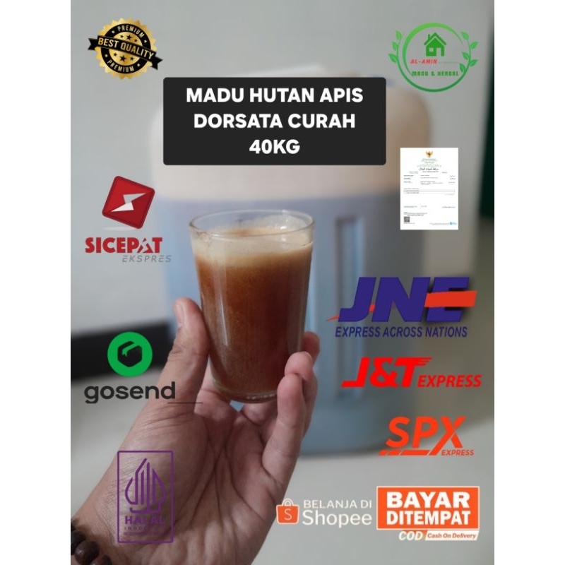 

MADU CURAH 40KG MADU HUTAN LIAR APIS DORSATA / SIALANG MADU MURNI MADU MENTAH MADU ASLI MADU HUTAN SIALANG SUMATRA