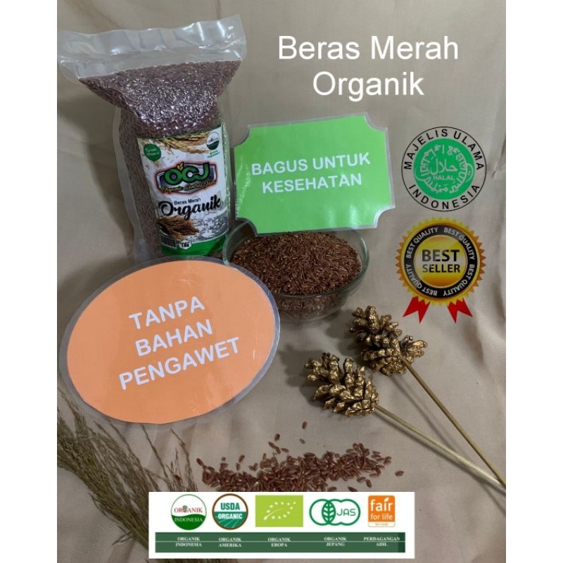 

OCJ Beras Merah Organik Asli 1kg | KUALITAS EXPORT