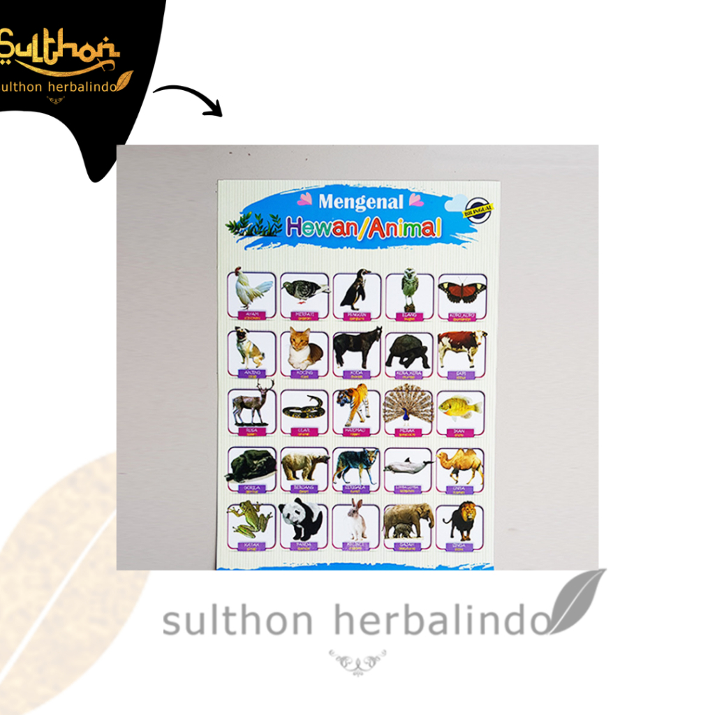 Poster Dinding Belajar Anak Mengenal Hewan / Animal