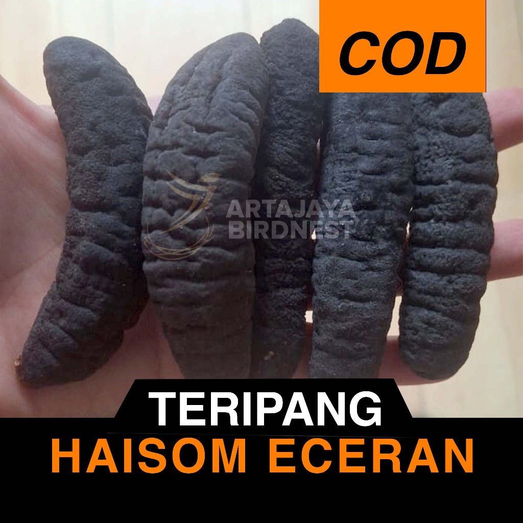 

Teripang / Haisom / Gamat Premium Eceran
