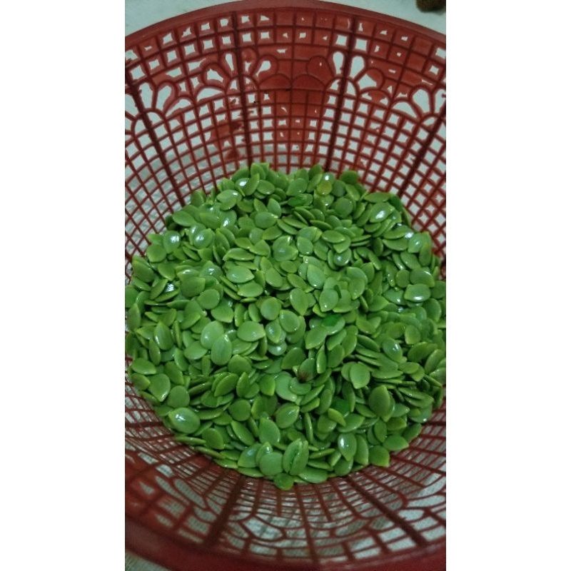 

petai lamtoro cina kupas segar