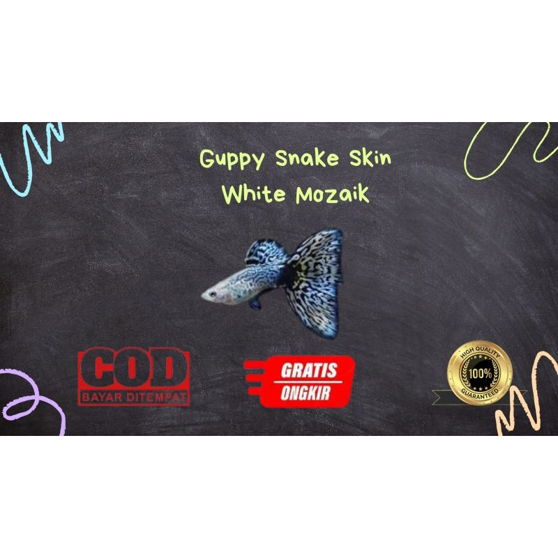 

Packing kardus / styrofoam guppy Snake skin white mozaik