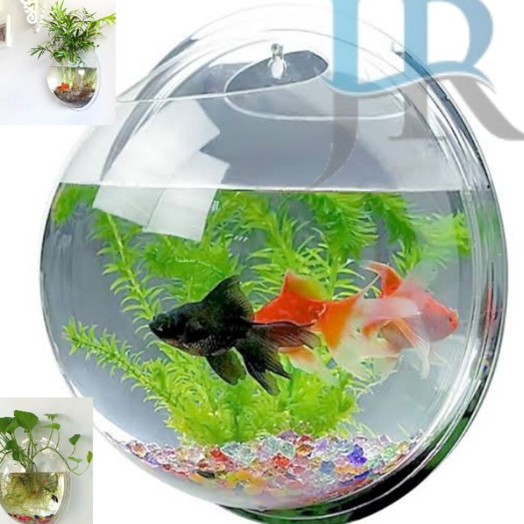 Dijual Aquarium gantung tempel dinding hanging pot tanaman hias