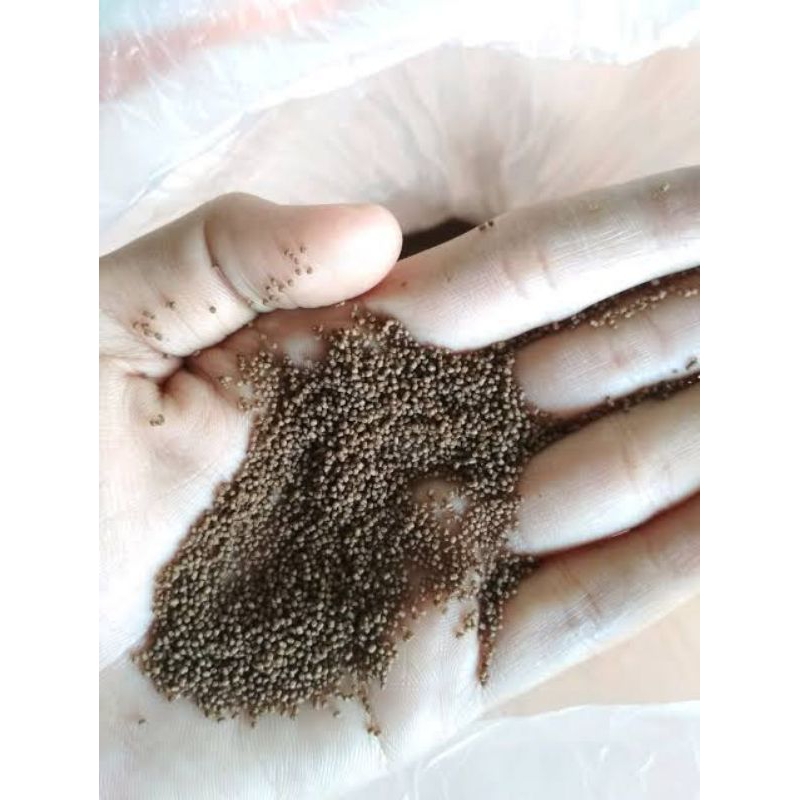 pakan ikan pelet pf 500berat 1kg