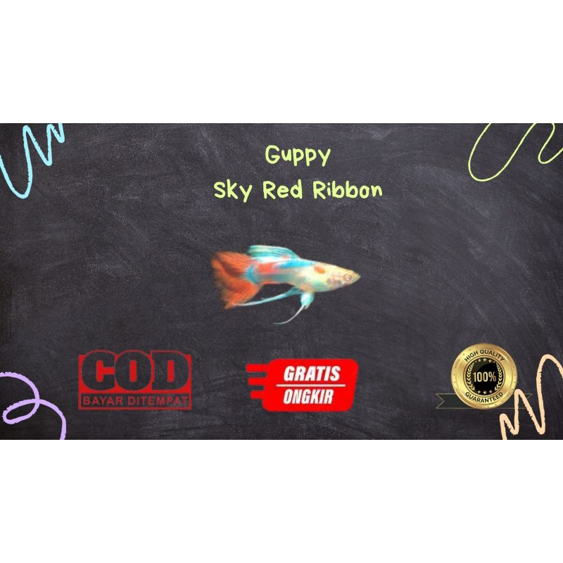 

Packing kardus / styrofoam gupp¥ sky r3d