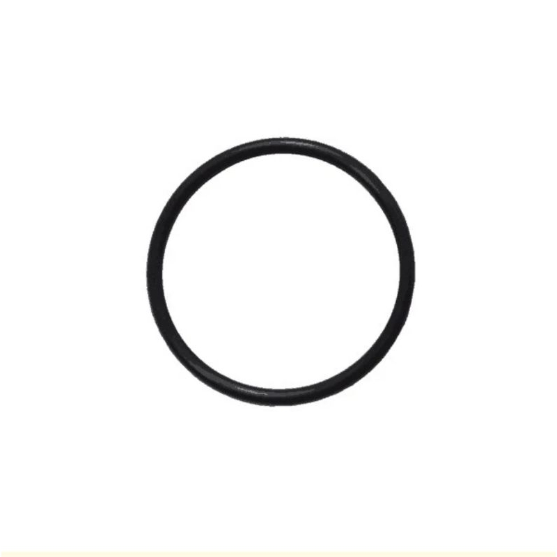 O-Ring 29X2 91301KRJ901