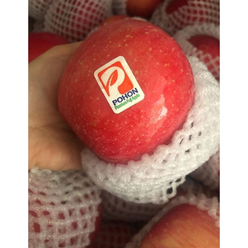 

BUAH APEL POHON | Apel Pohon | Apel Fuji merk Pohon renyah