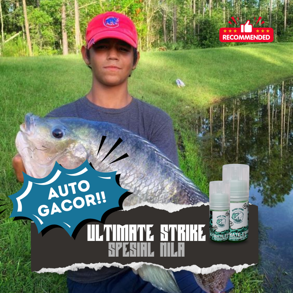 Ultimate Strike Essen Ikan | Essen Mancing Nila | Galatama, Kilo Gebrus, Harian, Alam Liar