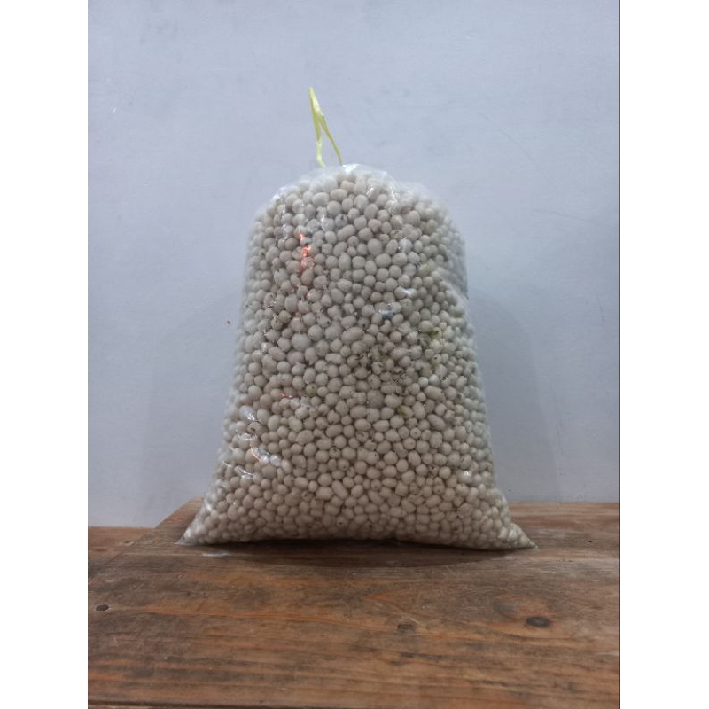 

pilus kocai