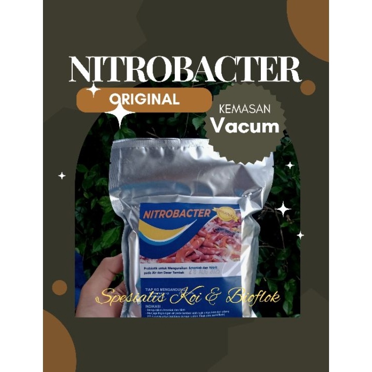 Nitrobac Nitrobacter starter Probiotik Kolam KOI