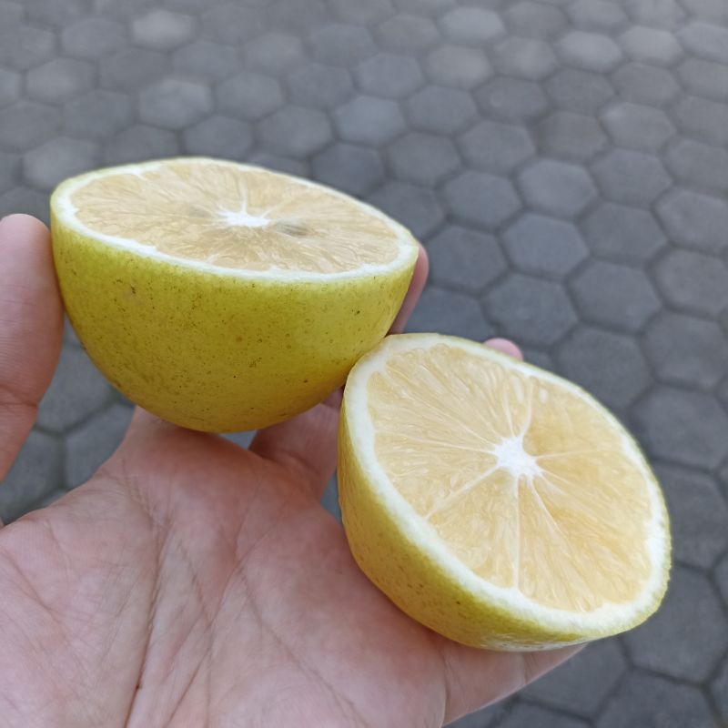 

LEMON CALIFORNIA 1000gr