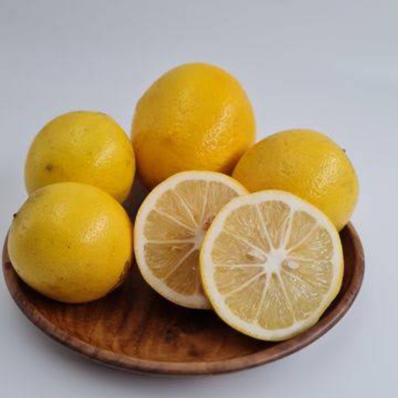 

Lemon California harga per 1Kg sangat terjangkau kandungan Vitamin C tinggi