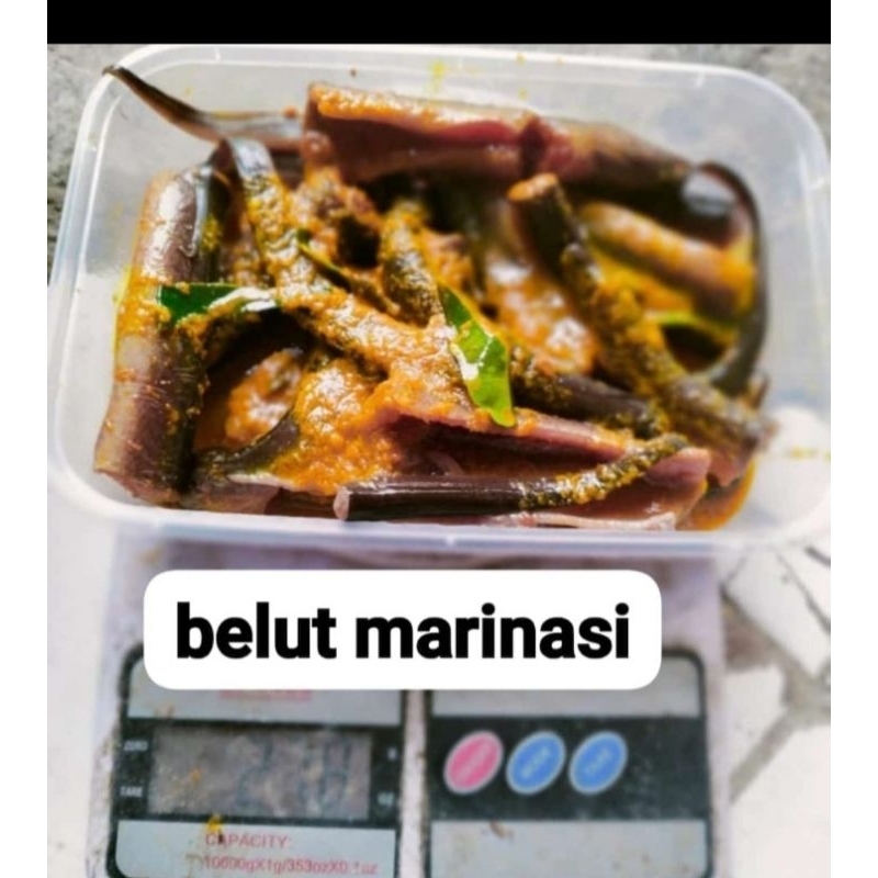

BELUT MARINASI FROZEN +200 GR