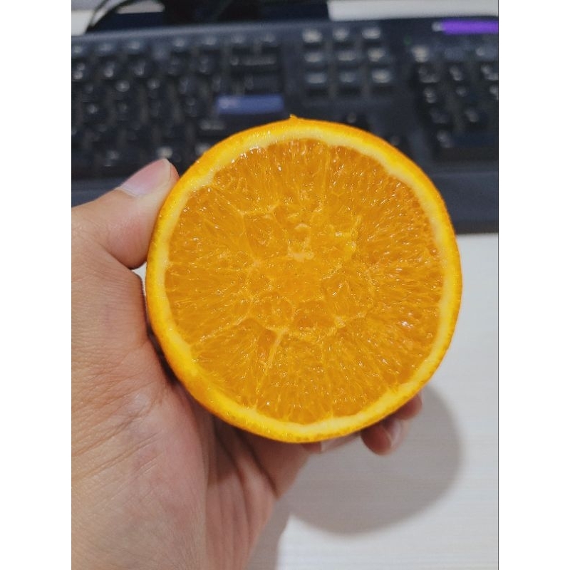 Jeruk Sunkist Navel