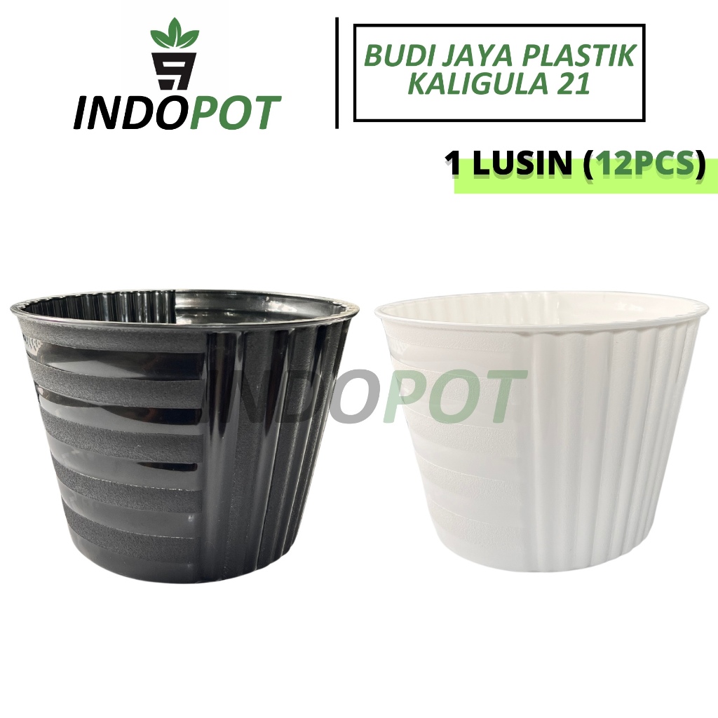 (12Pcs) Pot KALIGULA 21 BJP Pot Motif 4 Sisi Unik Untuk Ruangan INDOOR