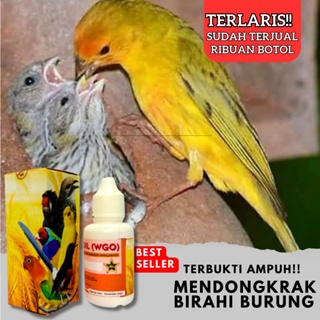 VITAMIN TERNAK BURUNG KENARI, TERBUKTI AMPUH