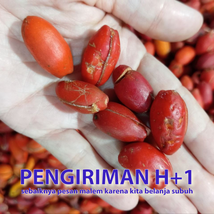 

Kulit melinjo sayuran segar =