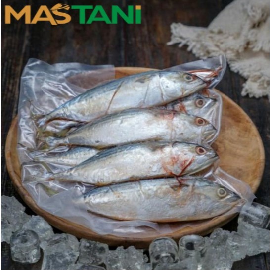 

Ikan Kembung Banjar Frozen Premium 1 Kg