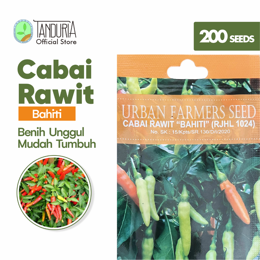 TANDURIA - Benih Buah Cabai Rawit Bahiti by Urban Farmers Seed Bibit Biji Sayur Bunga  Sayuran