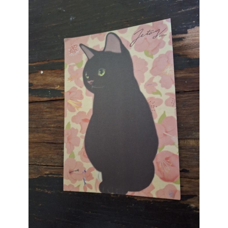 

kartu pos kucing jetoy/jetoy cat postcard