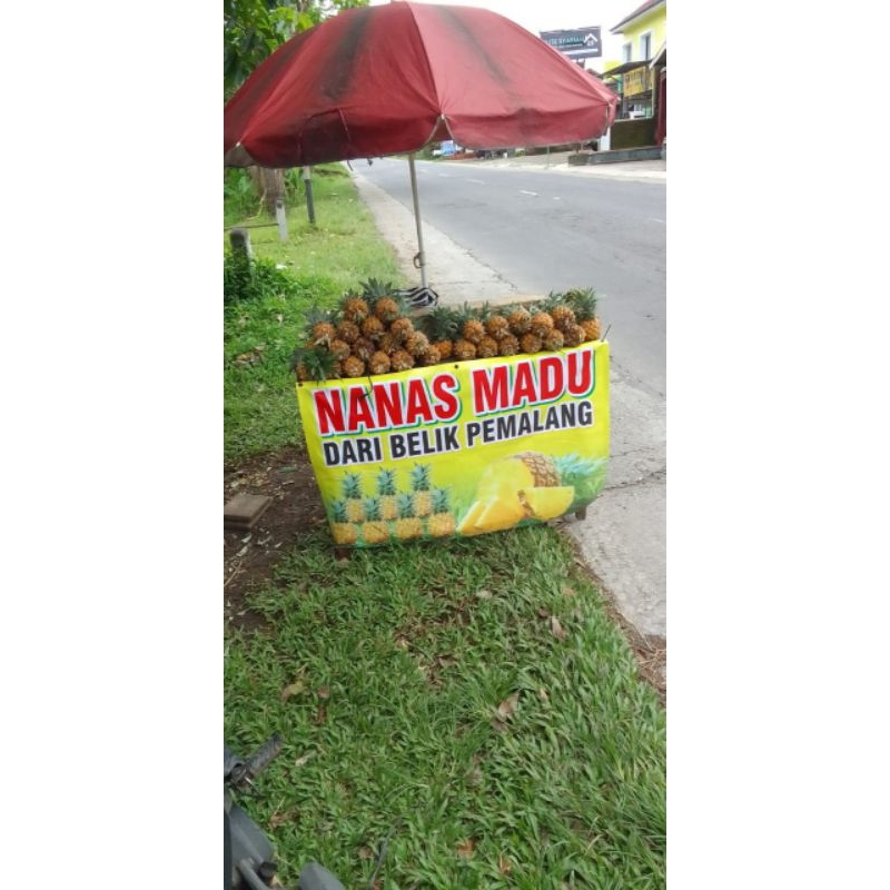 

nanas madu Pemalang