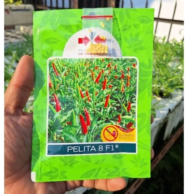 Benih Bibit Cabe Rawit Setan / Cabe Japlak / Cabe Rawit Caplak Kemasan Repack - Original Cap Panah M