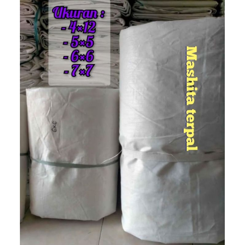 terpal hamparan / terpal jemur padi