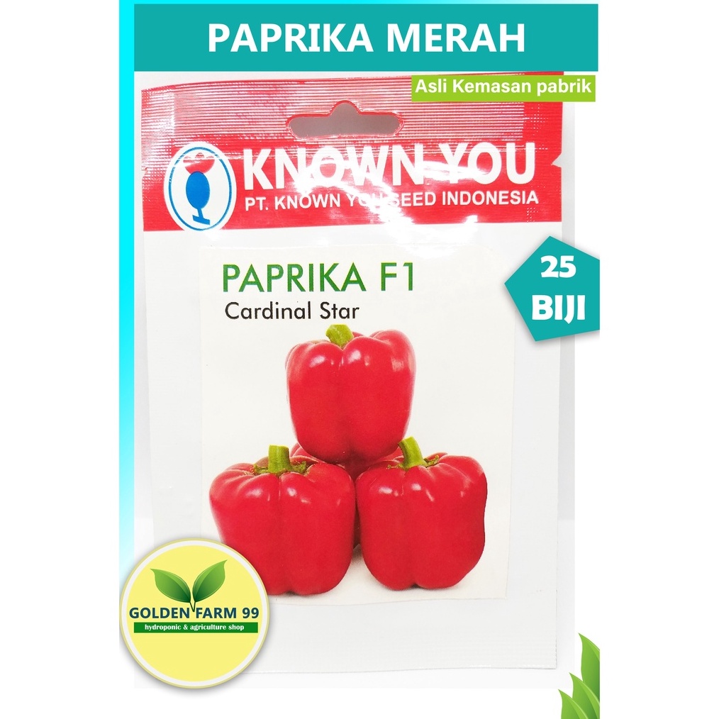 MURAH MERIAH Benih Paprika F1 Cardinal Star Know You Seed