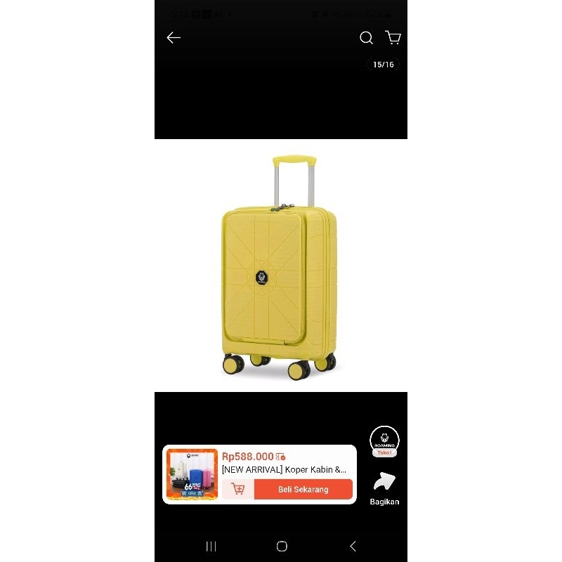 koper kabin 20 inch roaming