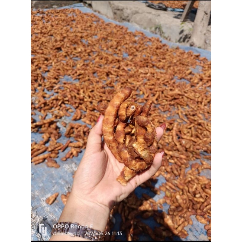 

Asam jawa ada biji