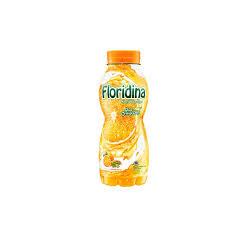 

FLORIDINA ORANGE BTL 350ML