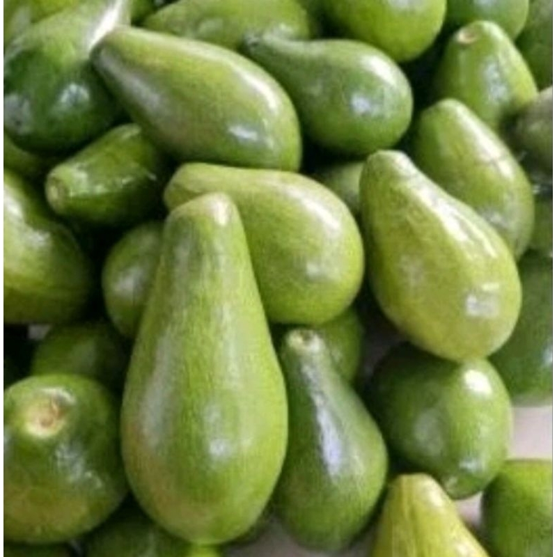 

Alpuket mentega paket 2kg
