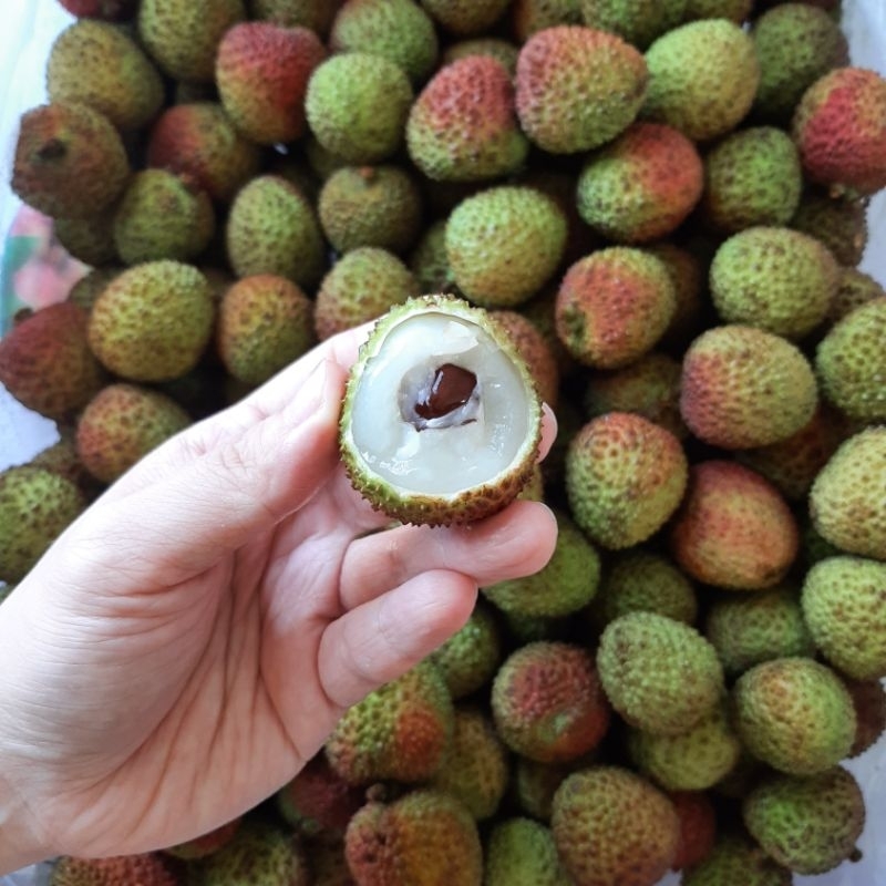 Green Honey Lychee/Leci/Buah Segar Import