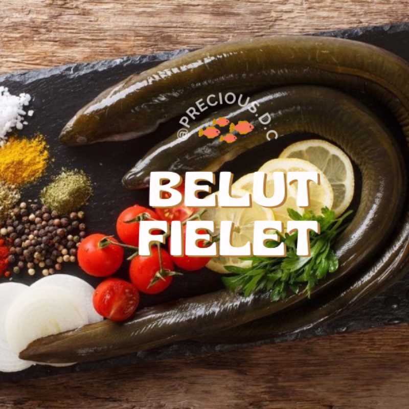 

Belut Filet