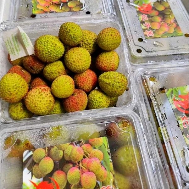 

Buah Leci Hijau Madu Segar / Lychee Green Honey Fresh