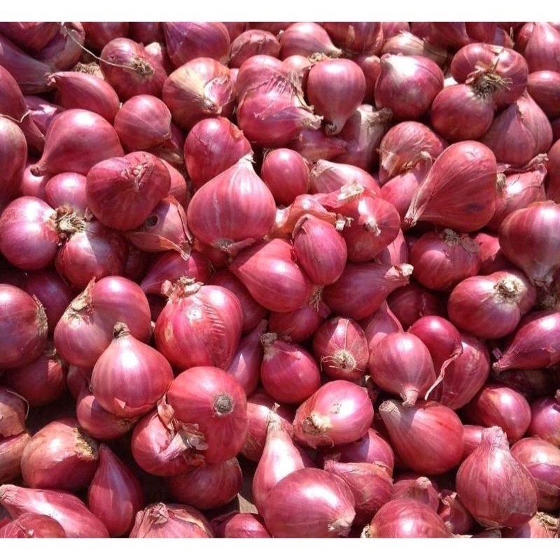 

Bawang Merah Super Probolinggo 1Kg