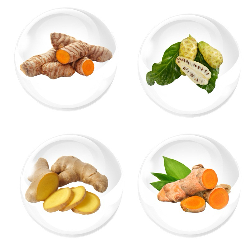 

HERBAL ASAM URAT, REMATIK, PEGEL LINU, SYARAF KEJEPIT