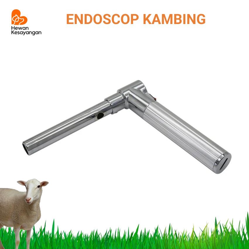 Vaginoscope Speculum Alat Inseminasi Buatan IB Endoscope Kambing Domba dll