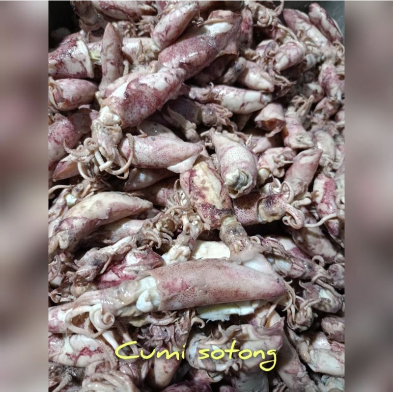 

Ikan Asin Cumi Sotong Original Murah Banget 500gr