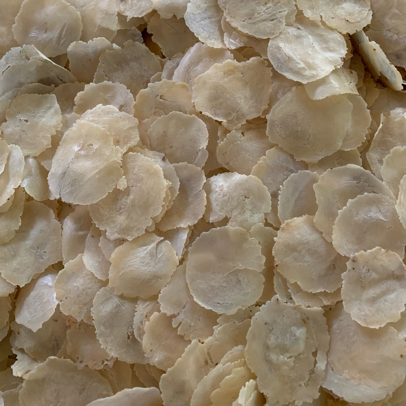 

EMPING MELINJO MENTAH ORIGINAL 1/2KG ASLI PRODUKSI LIMPUNG BATANG