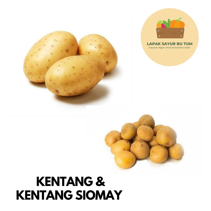 

Sayuran Segar - Kentang / Kentang Siomay - Lapak Sayur Bu Tum