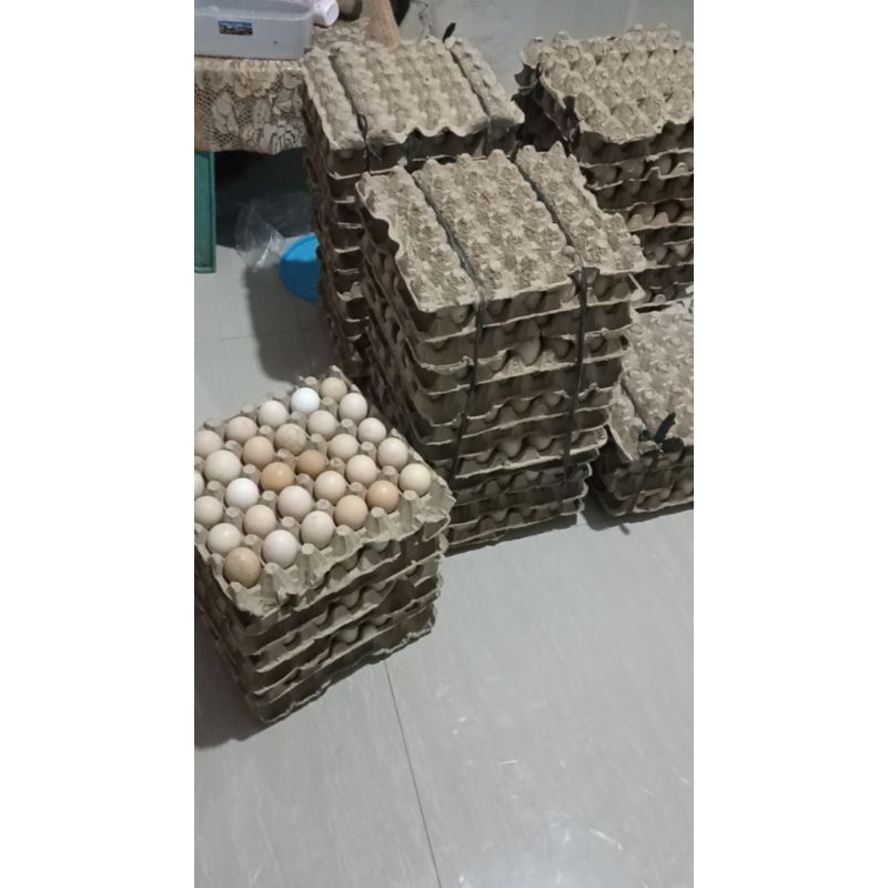 

30 butir telur ayam kampung asli telur konsumsi