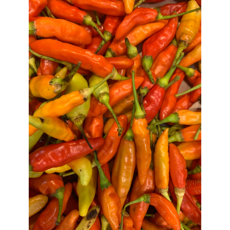 

Cabai Rawit/Cabai besar/Cabai Hijau pedas 500gr