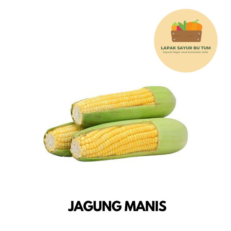 

Sayuran Segar - Jagung Manis 1 pcs - Lapak Sayur Bu Tum