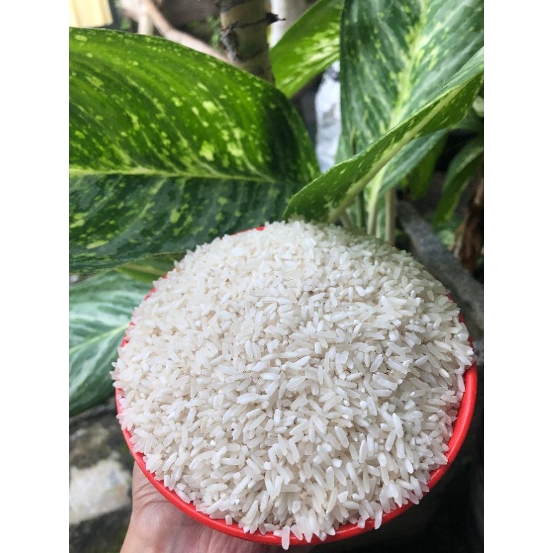 

beras putih/beras tanpa pemutih