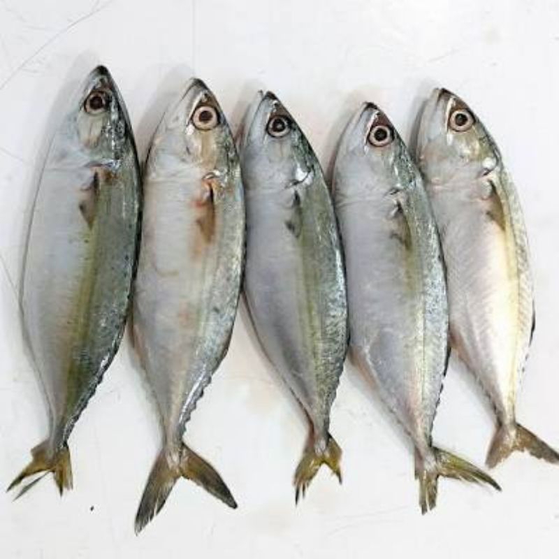 

IKAN KEMBUNG BANJAR -500gr - fress khusus instan