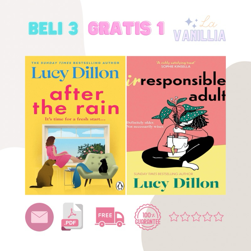 

After the Rain Irresponsible Adult by Lucy Dillon