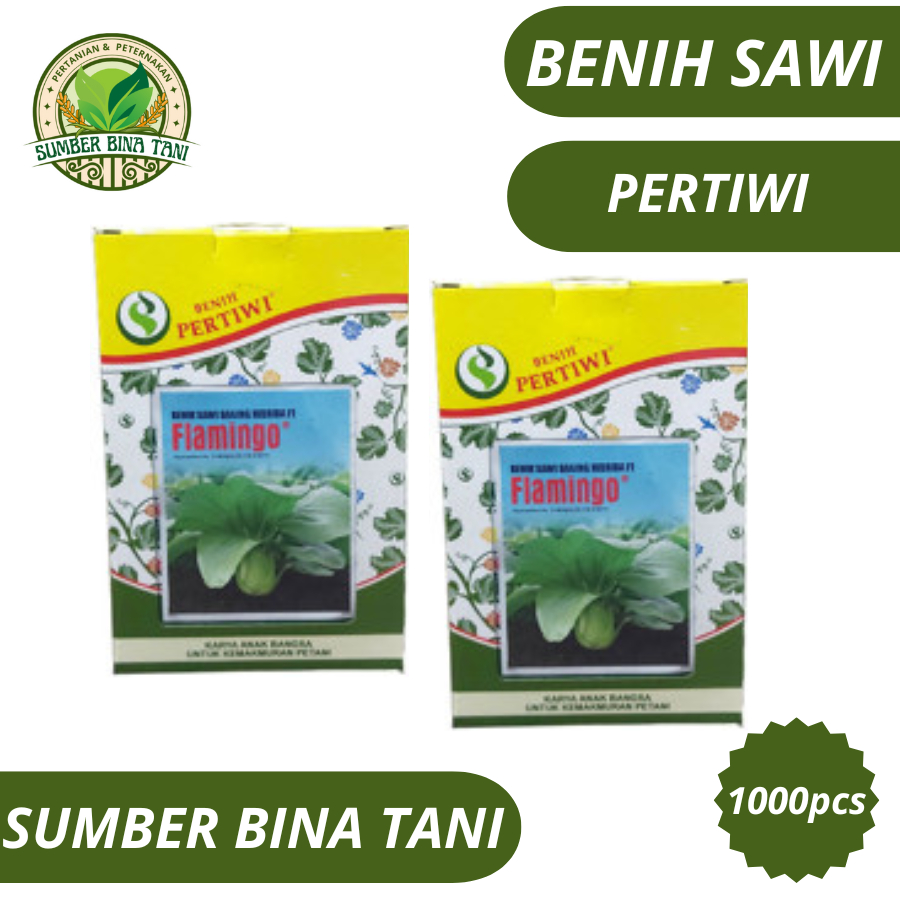 Benih Pakchoy / Sawi Sendok - Benih Sawi Daging Flamingo